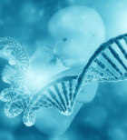 המדריך המלא לבדיקות גנטיות: מה צריך לדעת?-תמונה